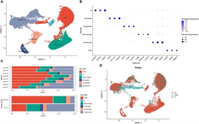 Single-cell transcriptome analysis reveals the metabolic changes and the prognostic value of malignant hepatocyte subpopulations and predict new therapeutic agents for hepatocellular carcinoma